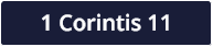 1 Corintis 11